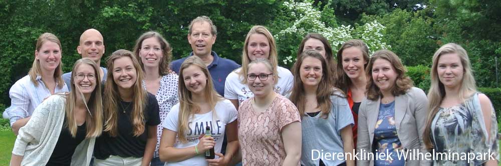 De dierenartsen en (paraveterinaire en Diergeneeskundige Student) assistentes van Dierenkliniek Wilhelminapark in 2019